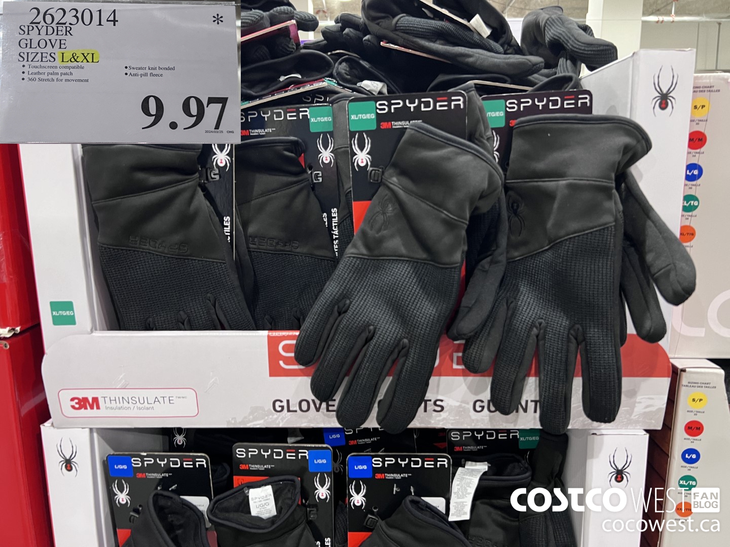 2623014 SPYDER GLOVE SIZES L & XL $9.97