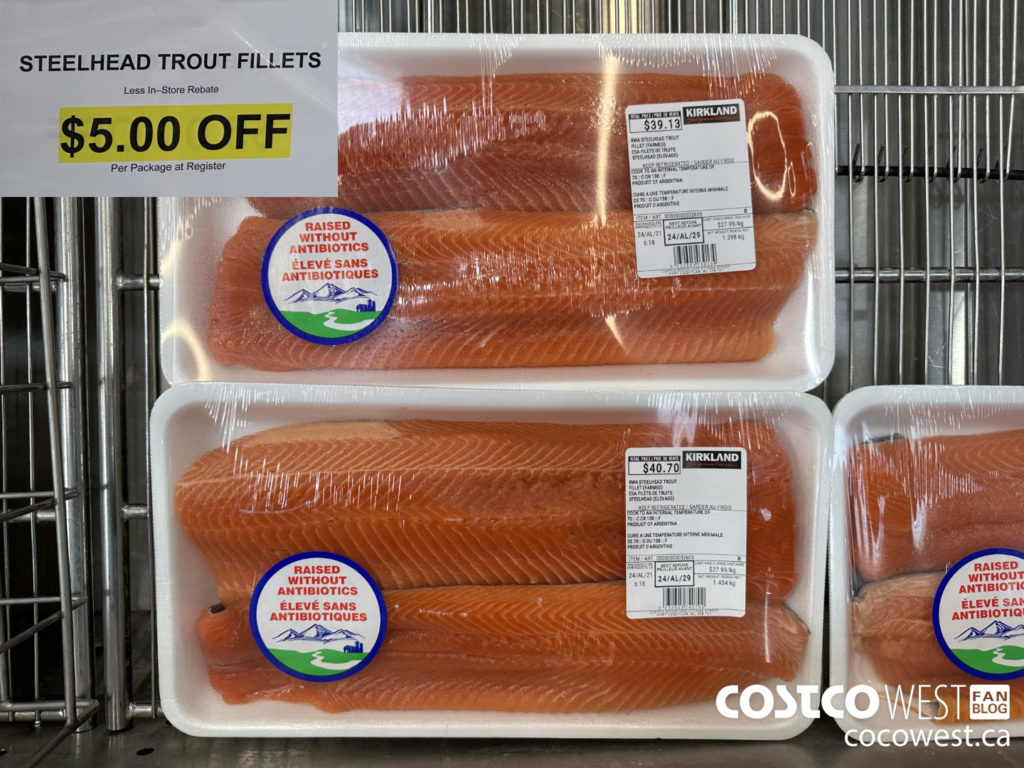 32605 STEELHEAD TROUT FILLETS ($5.00 INSTANT SAVINGS)