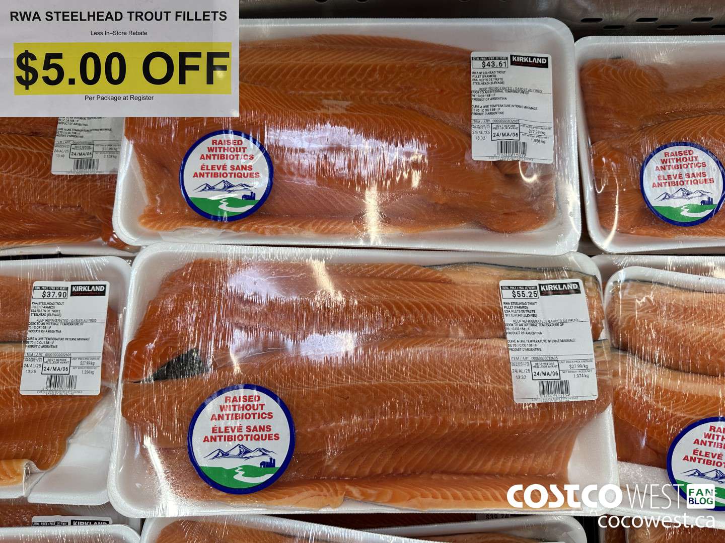 32605 STEELHEAD TROUT FILLETS ($5.00 INSTANT SAVINGS)