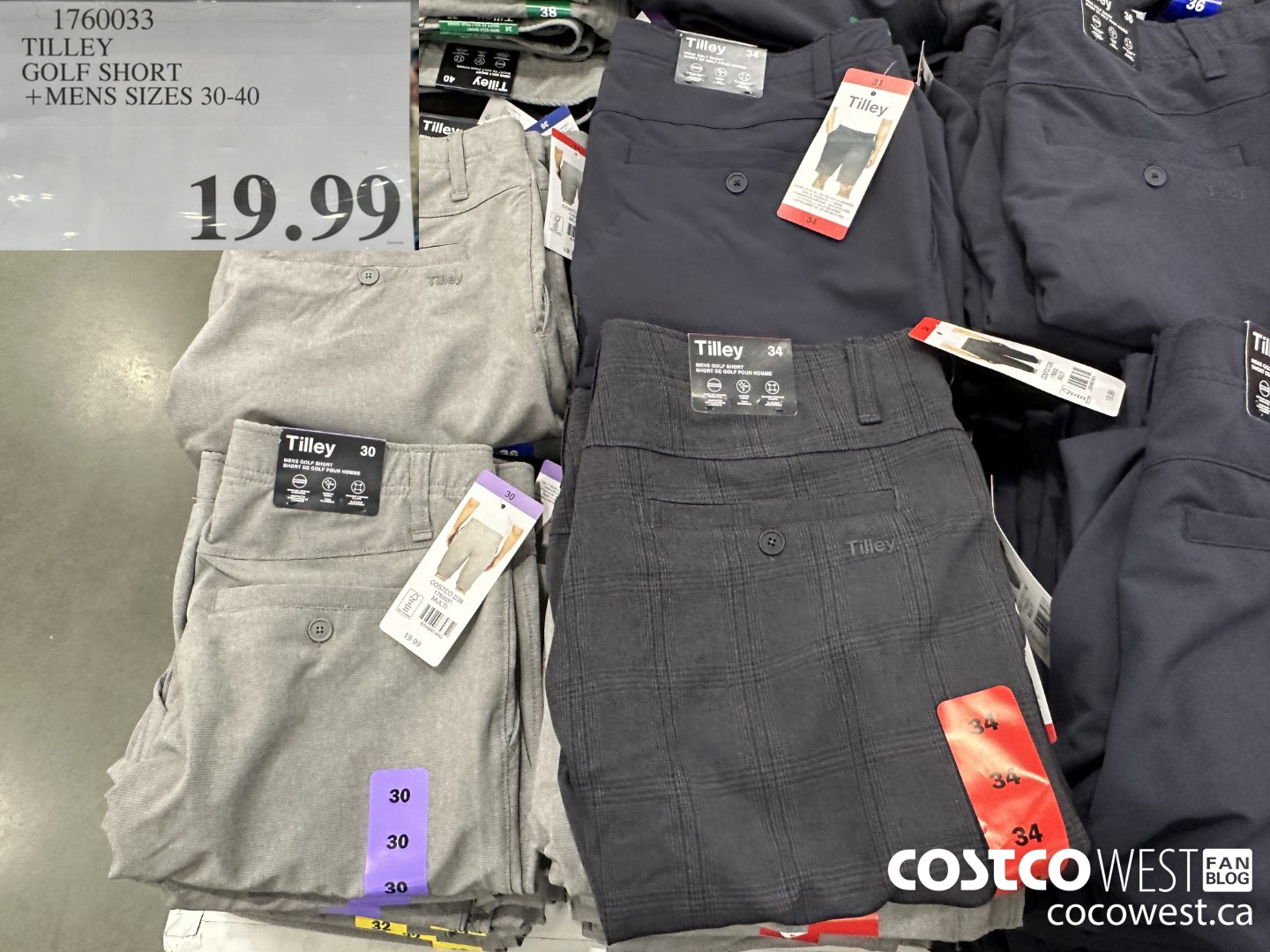 1760033 TILLEY GOLF SHORT MENS SIZES 30-40 $19.99