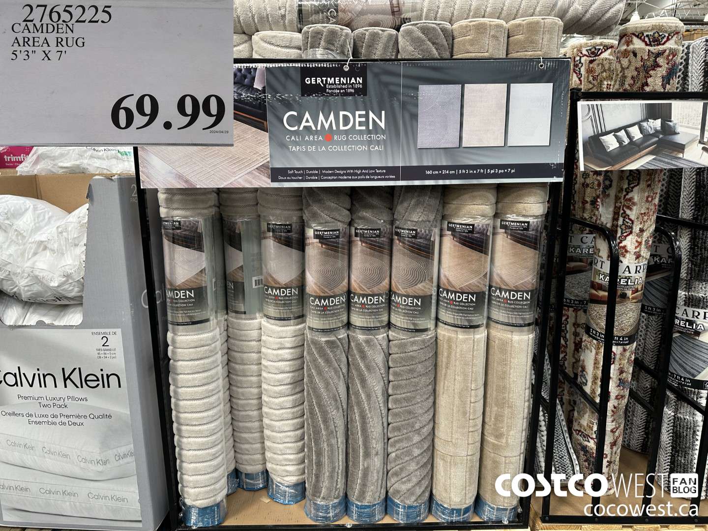 2765225 CAMDEN AREA RUG 5'3