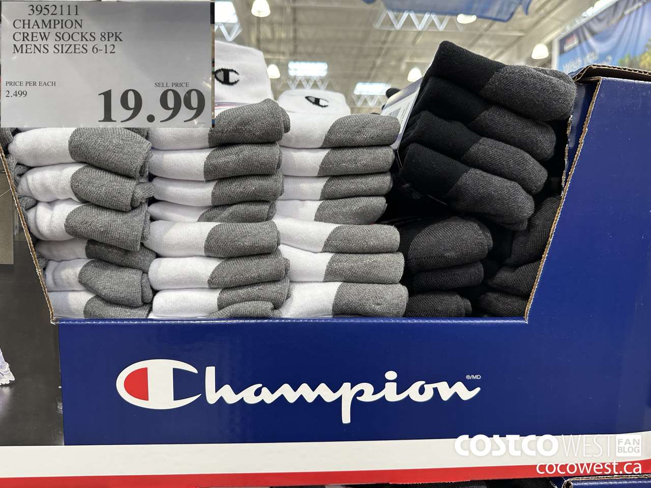 39521 CHAMPION ELITE CREW SOCKS 6PK MENS SIZES 6-12 $19.99