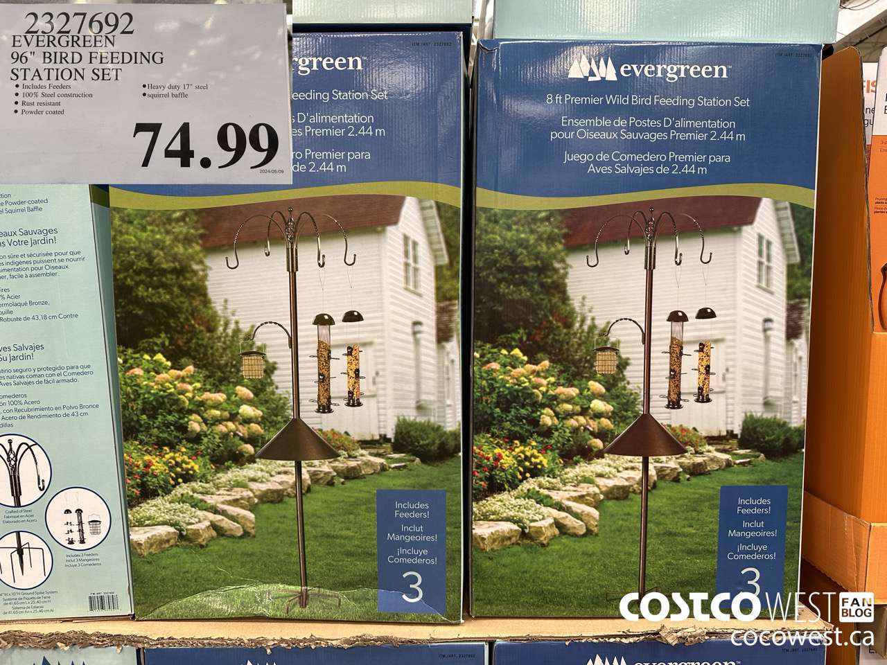 2327692 EVERGREEN 96