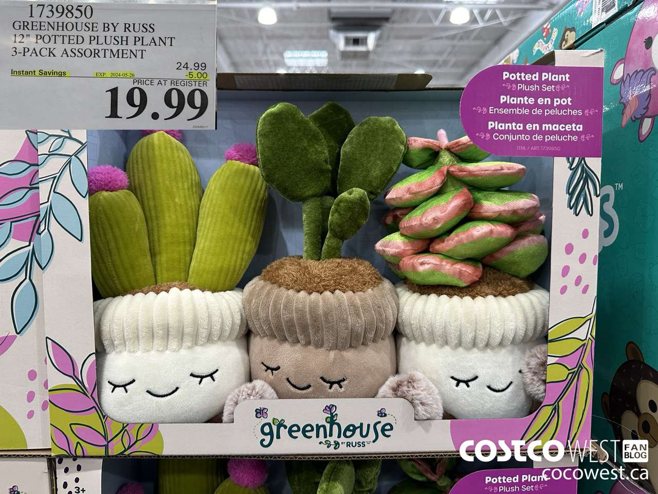 1739850 GREENHOUSE BY RUSS 12