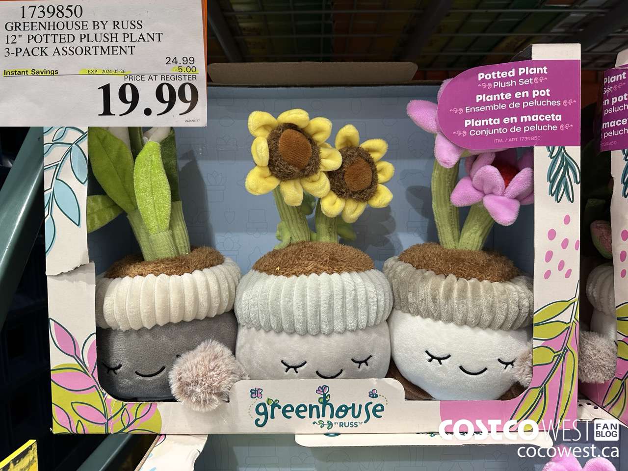 1739850 GREENHOUSE BY RUSS 12