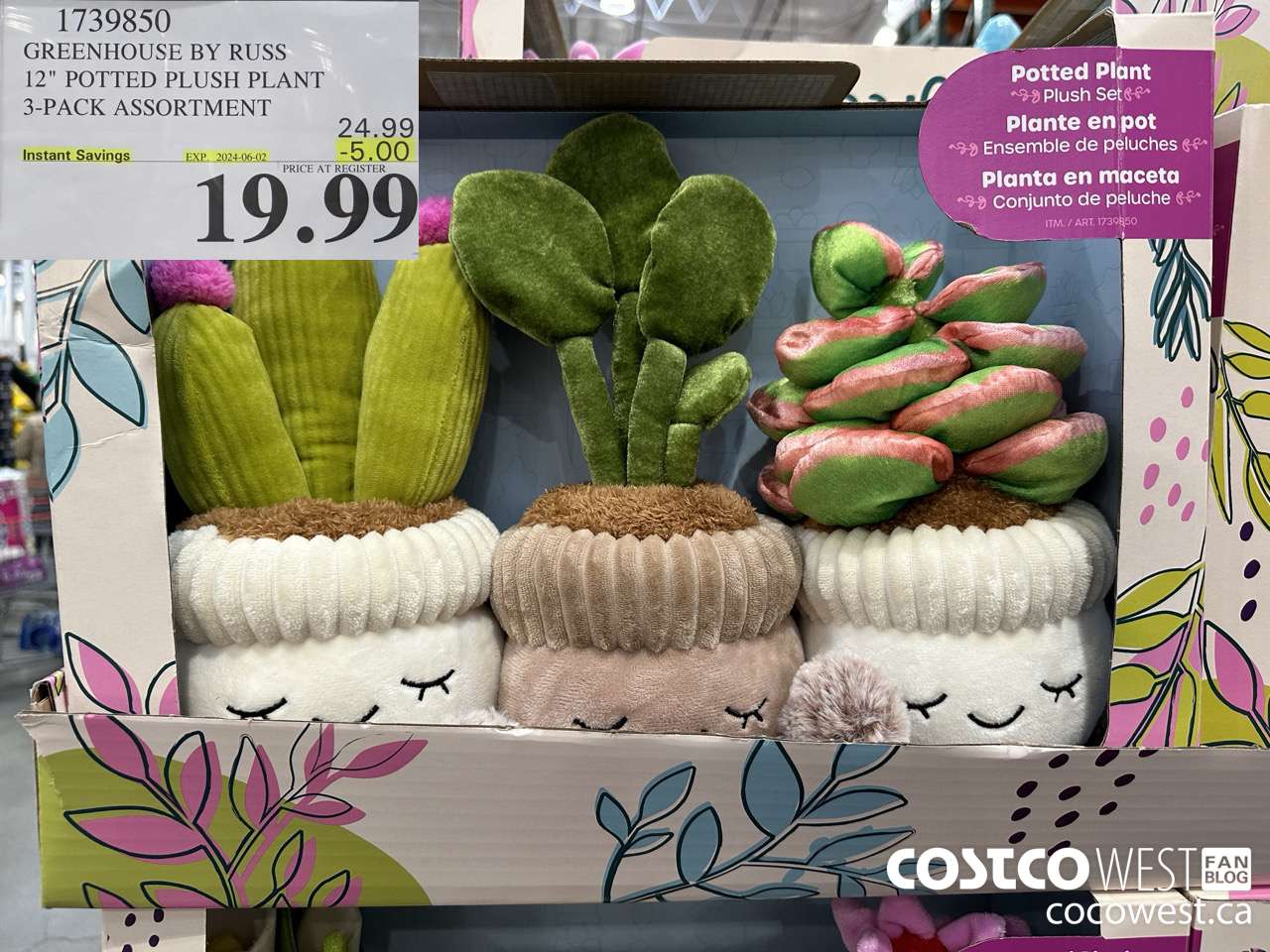 1739850 GREENHOUSE BY RUSS 12