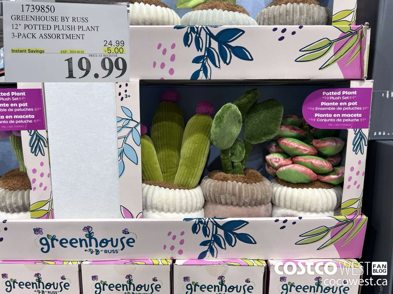 1739850 GREENHOUSE BY RUSS 12