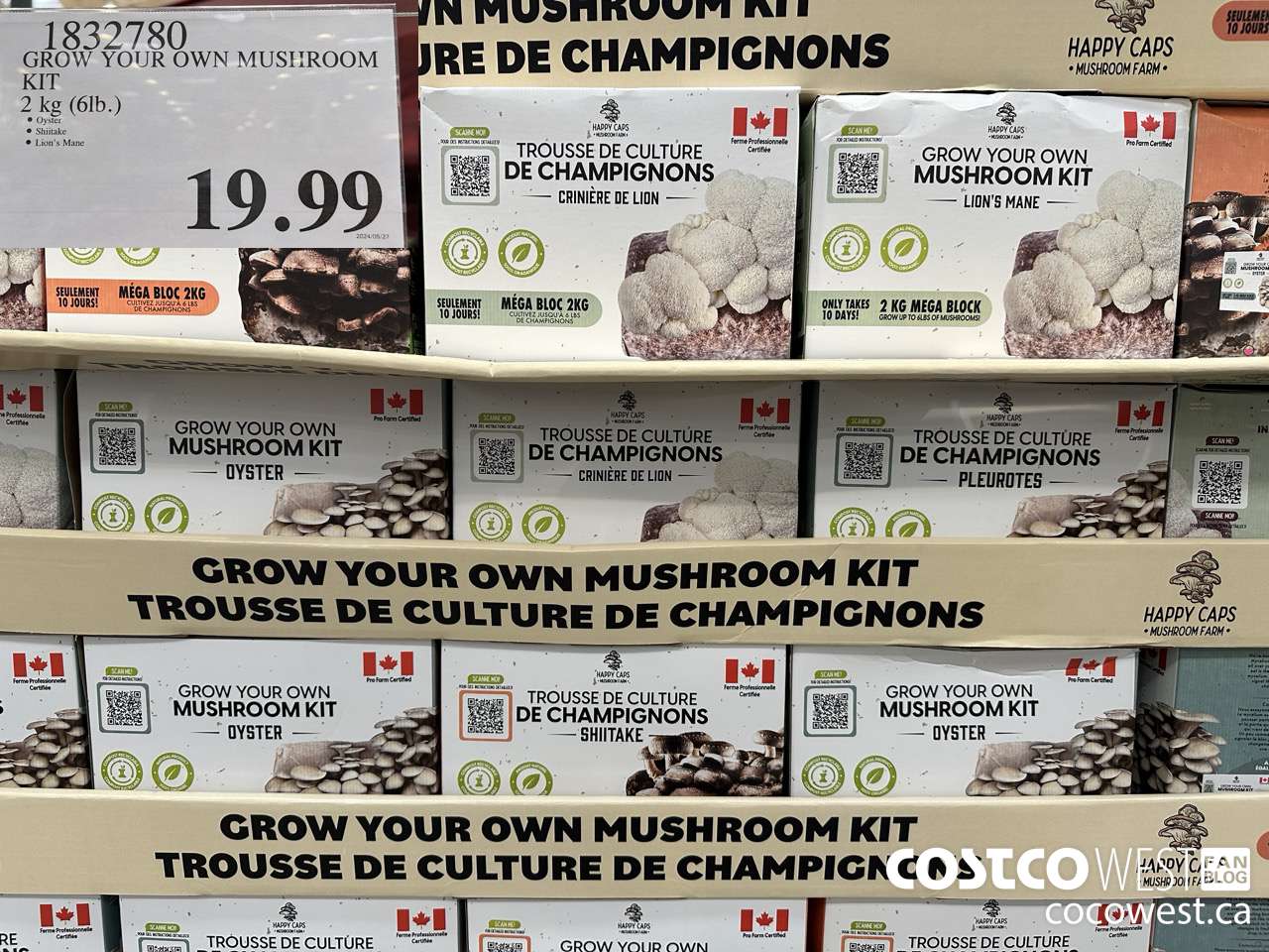 1832780 GROW YOUR OWN MUSHROOM KIT 2 KG (6LB) $19.99