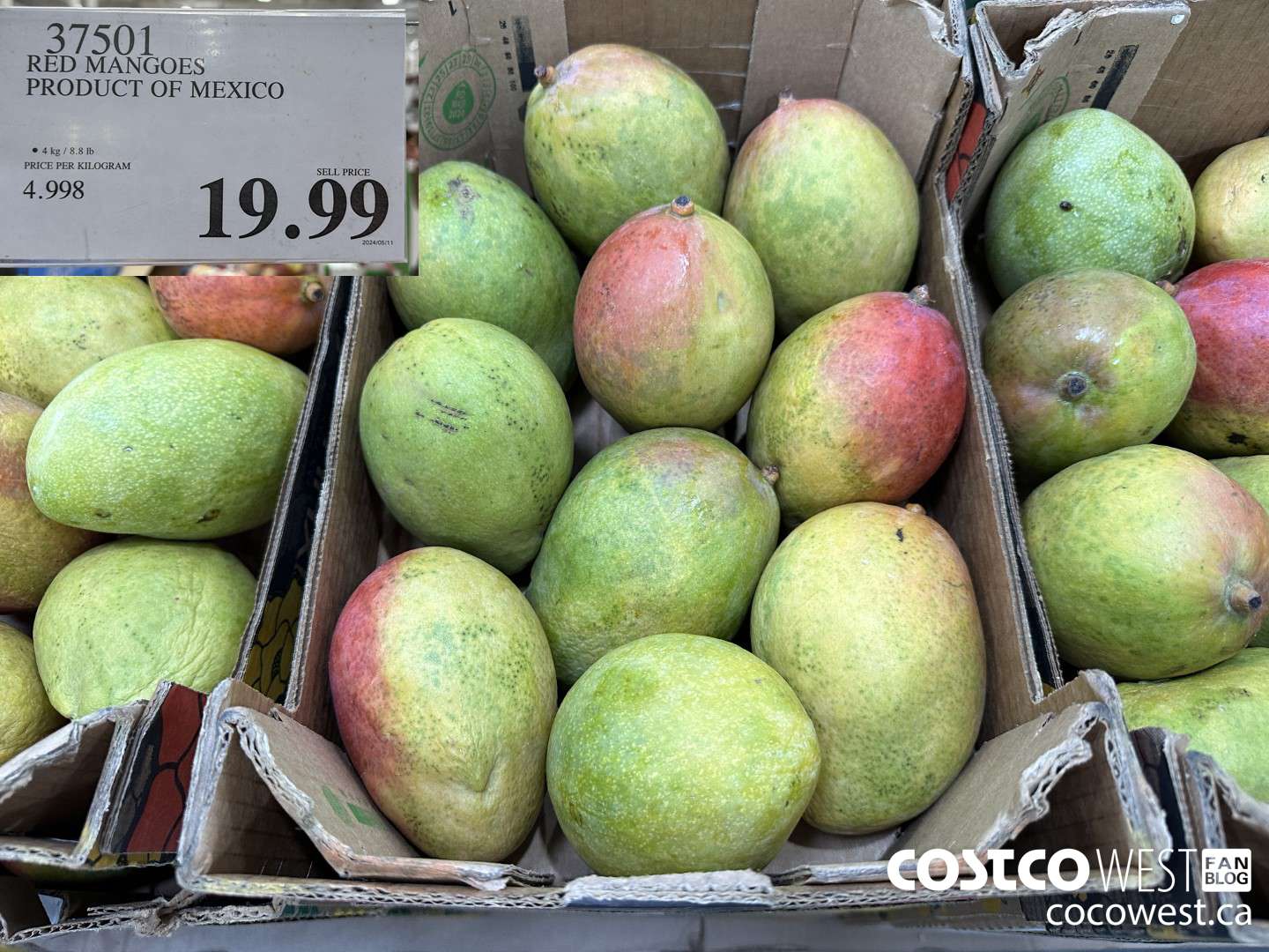 37501 RED MANGOES PRODUCT OF MEXICO $19.99