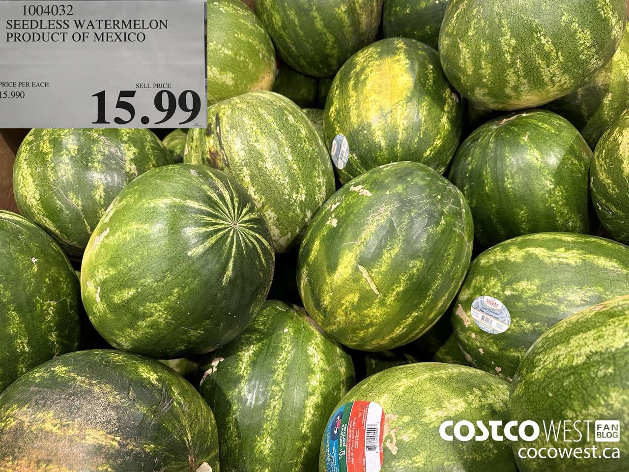 1004032 SEEDLESS WATERMELON PRODUCT OF MEXICO $15.99