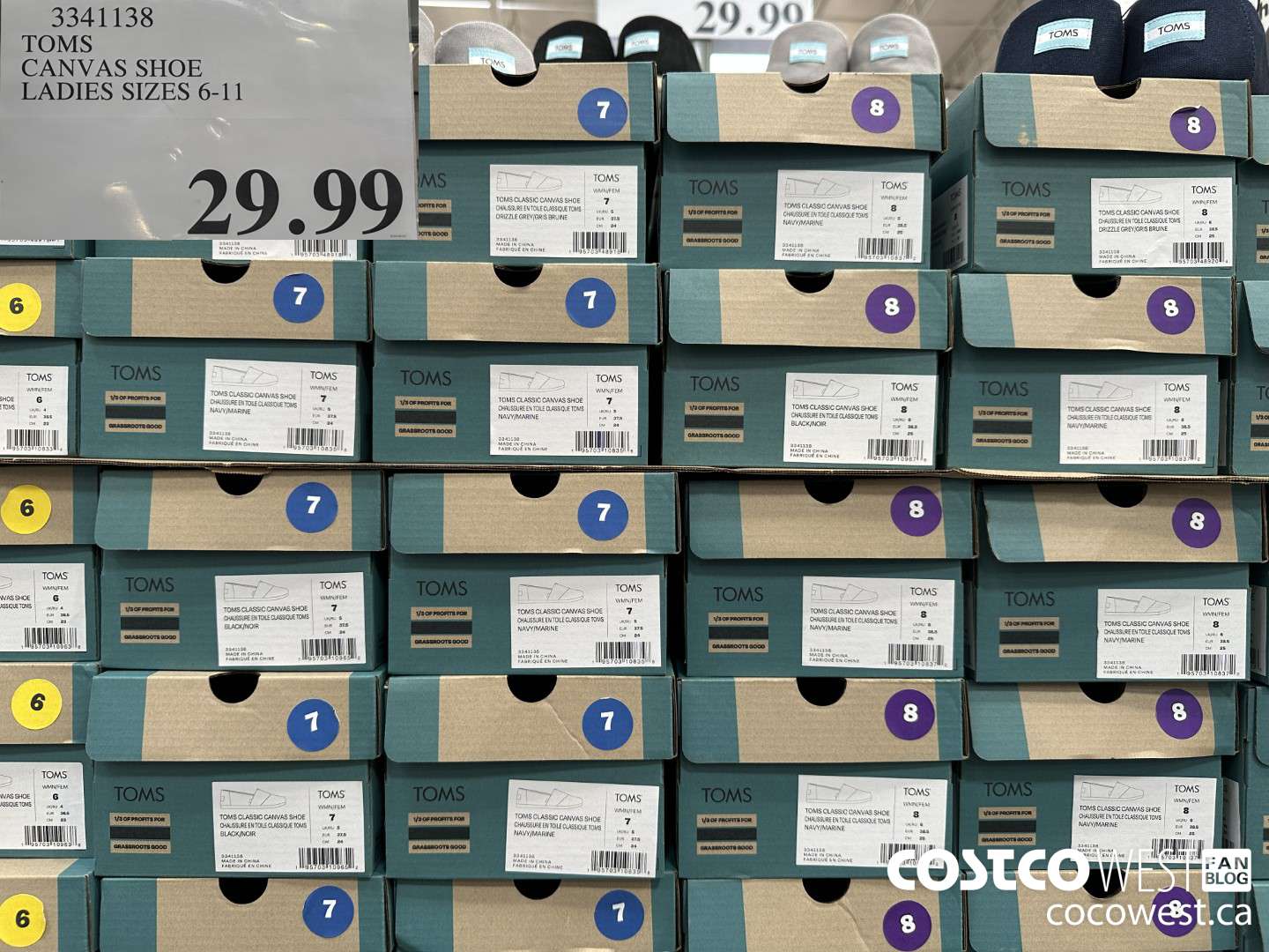 3341138 TOMS CANVAS SHOE LADIES SIZES 6-11 $29.99