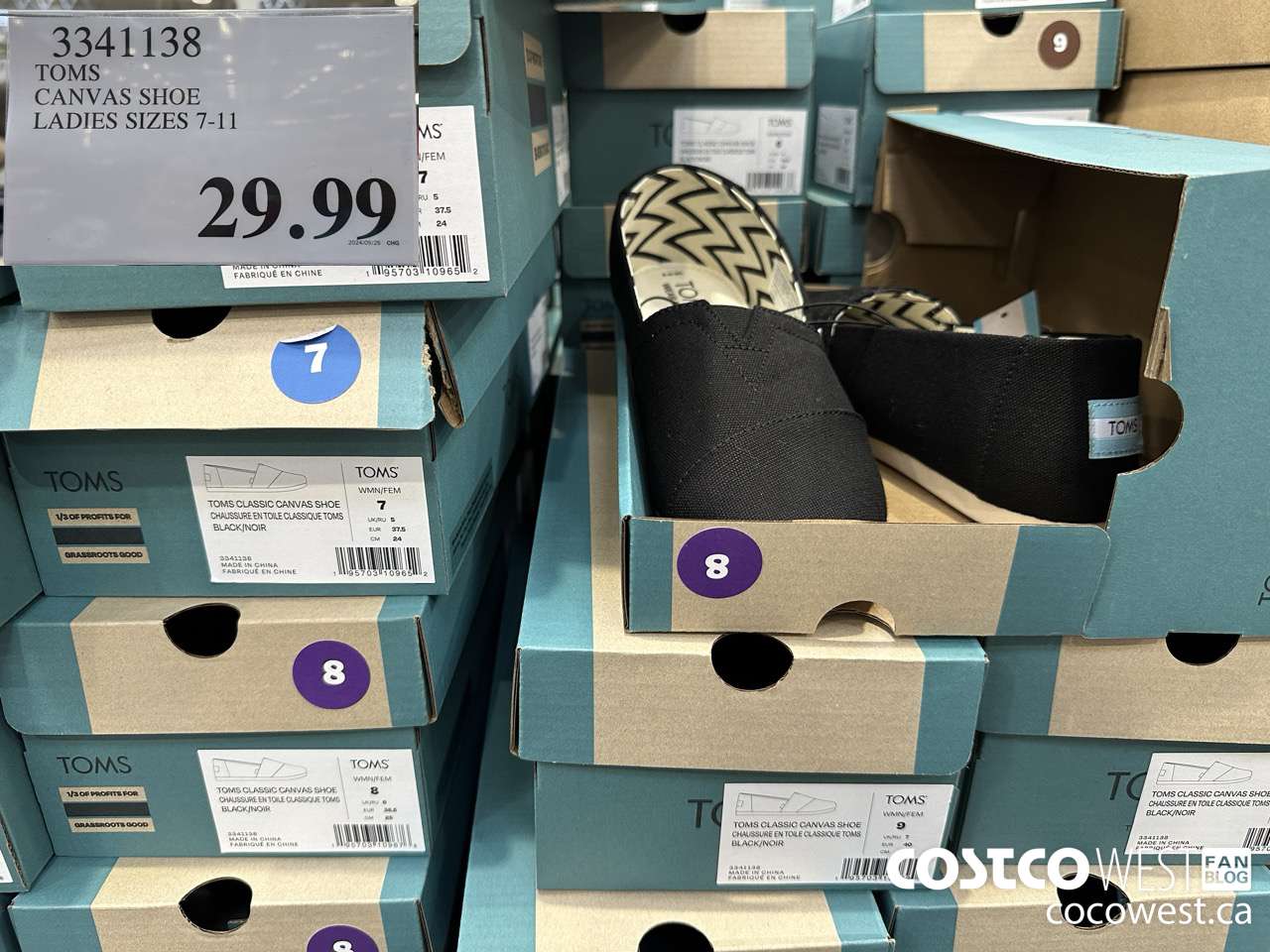 3341138 TOMS CANVAS SHOE LADIES SIZES 7-11 $29.99