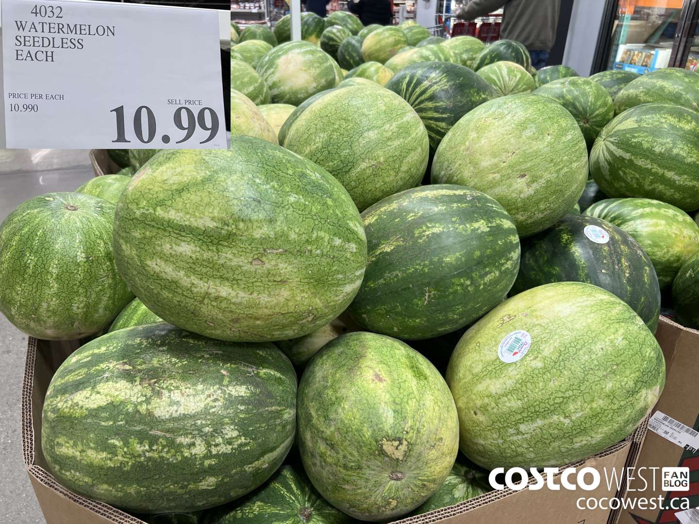 4032 WATERMELON SEEDLESS EACH $10.99
