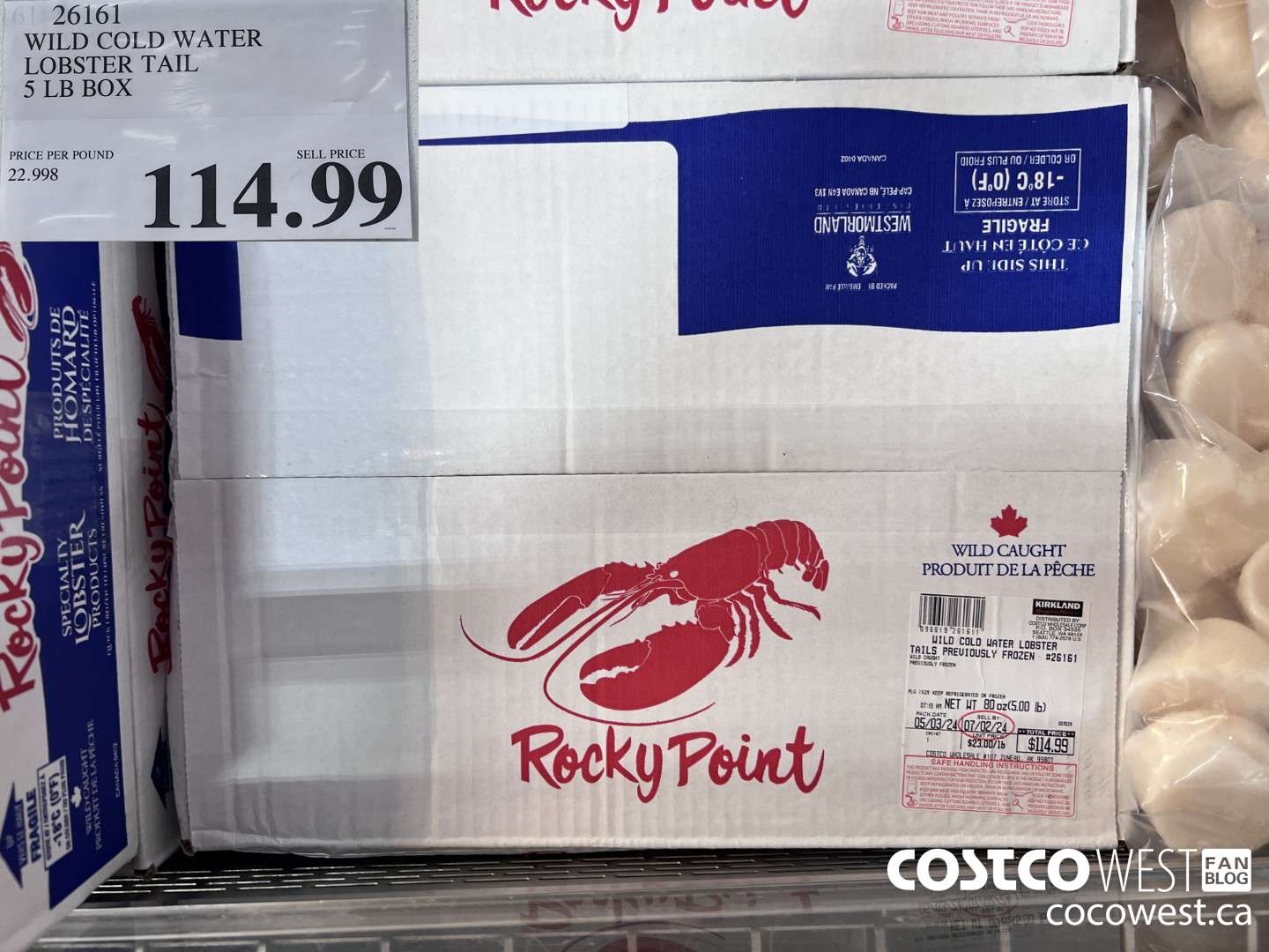 26161 WILD COLD WATER LOBSTER TAIL 5 LB BOX $114.99