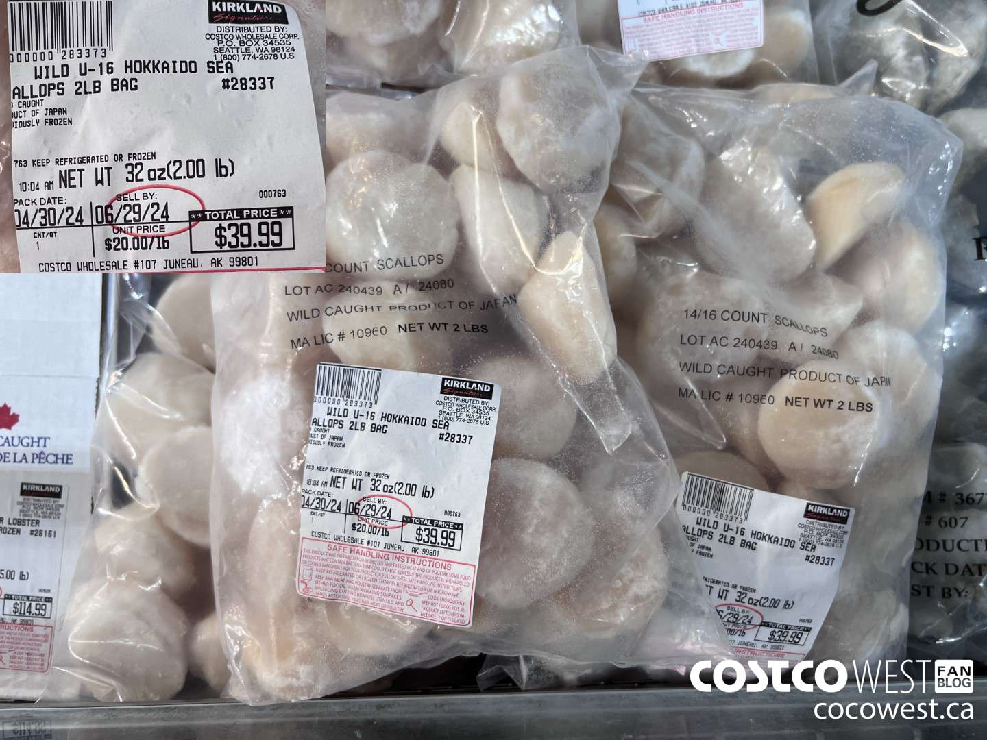 28337 WILD U-16 HOKKAIDO SEA SCALLOPS 2LB BAG $20.00