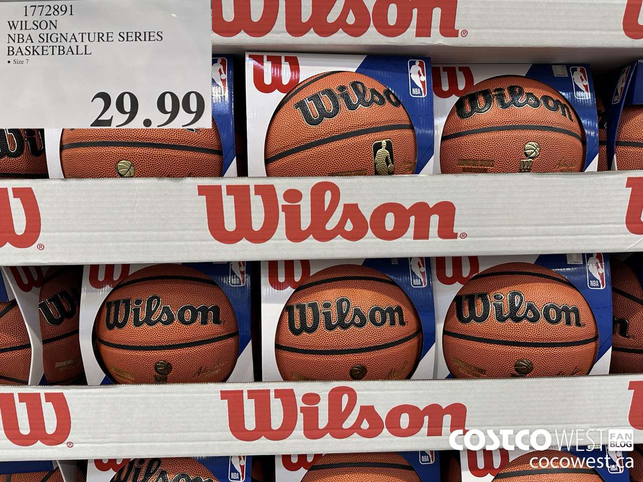 1772891 WILSON NBA SIGNATURE SERIES BASKETBALL $29.99
