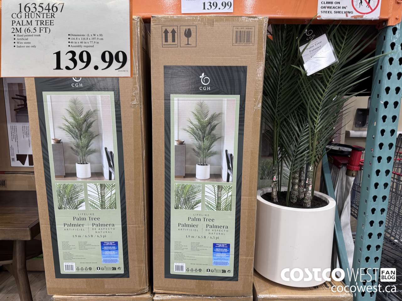 1635467 BEAUMONT DESIGNS FAUX PALM TREE 2M (6.5 FT) $139.99