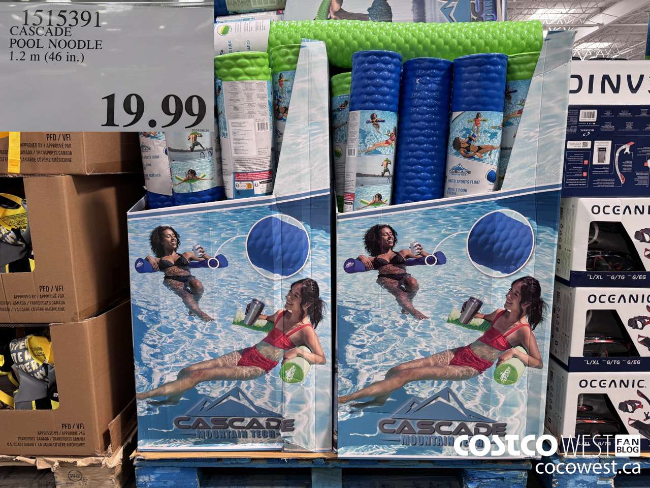 1515391 CASCADE POOL NOODLE 1.2 M (46 IN) $19.99