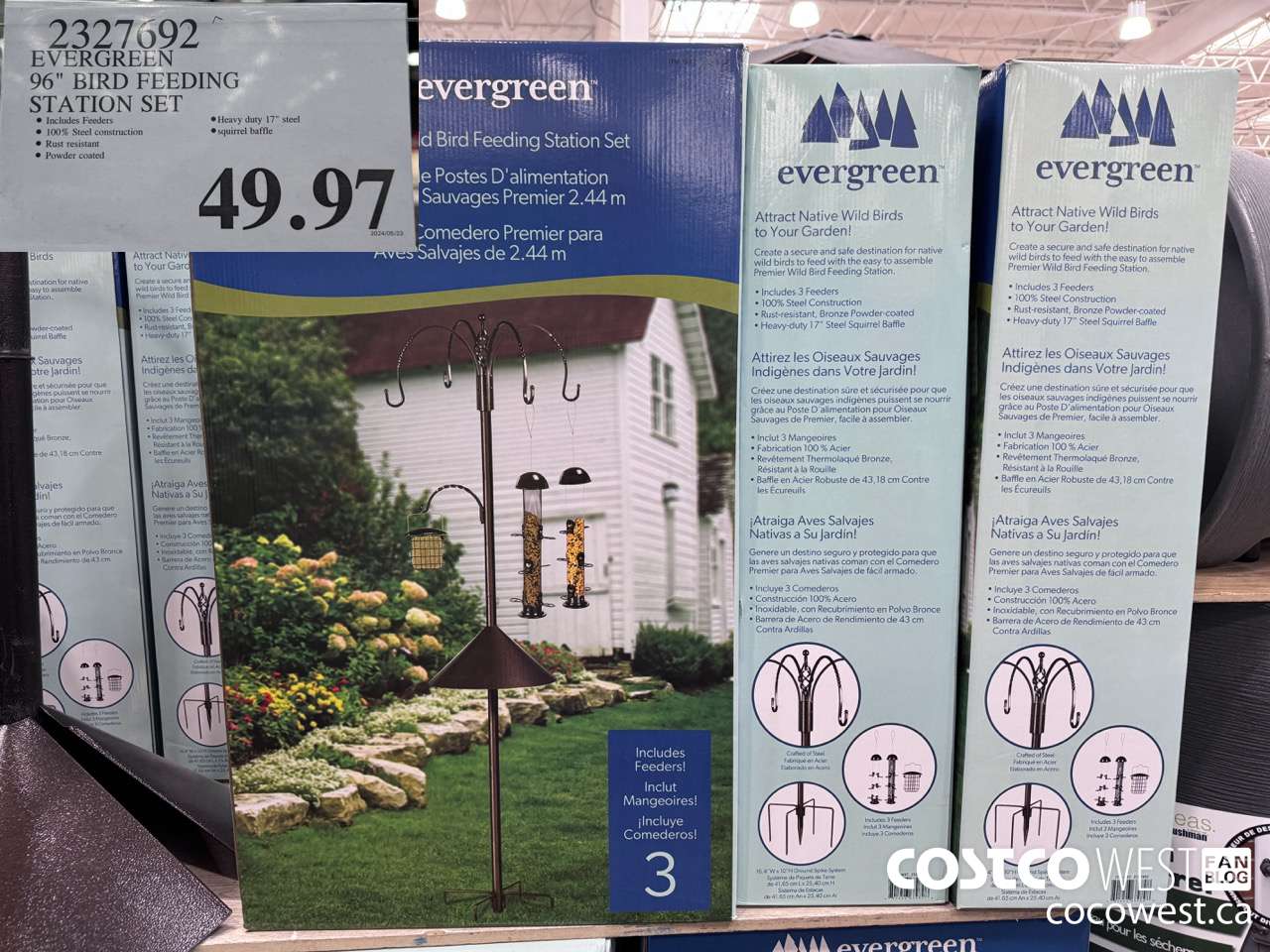 2327692 EVERGREEN 96