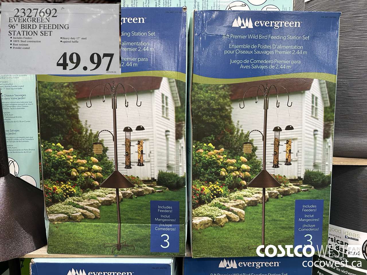 2327692 EVERGREEN 96