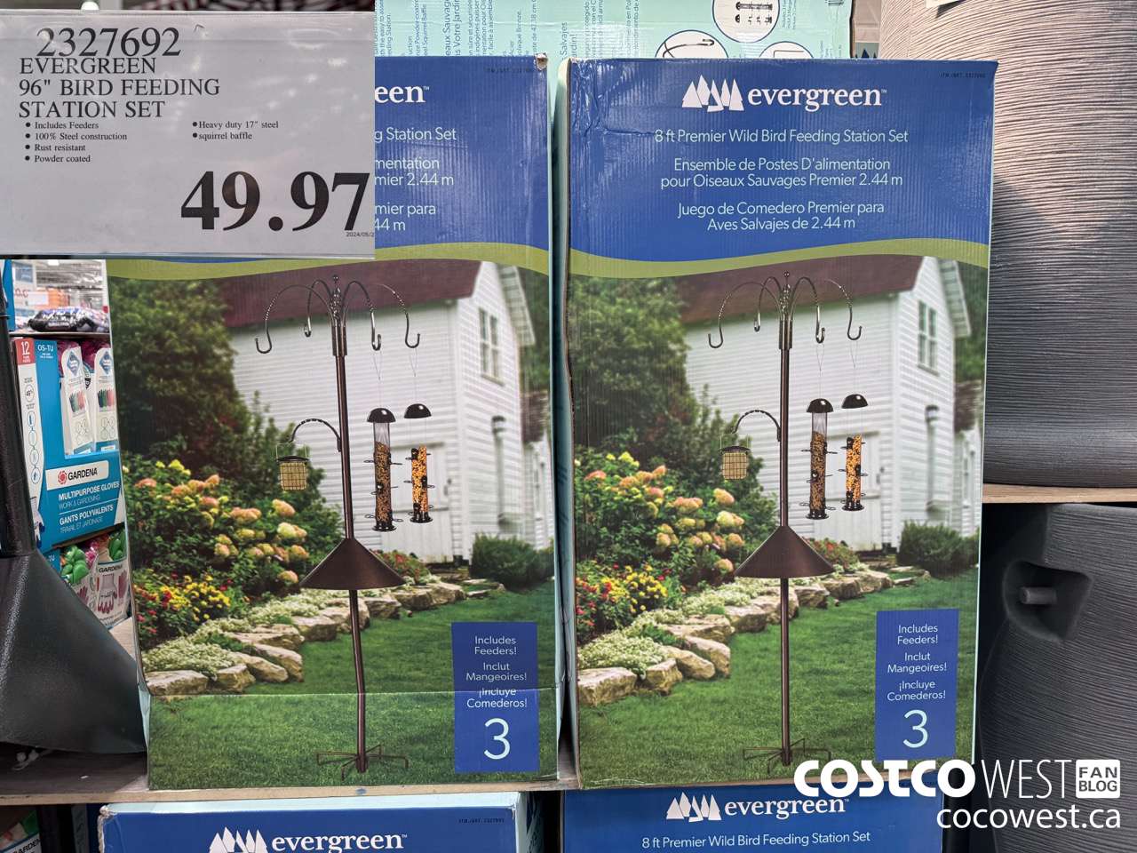 2327692 EVERGREEN 96