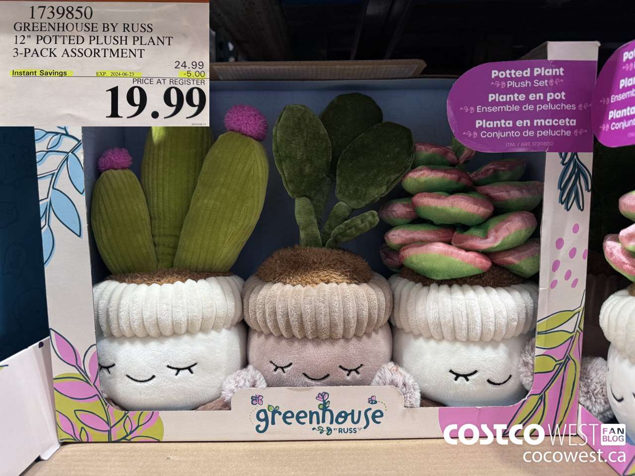 1739850 GREENHOUSE BY RUSS 12