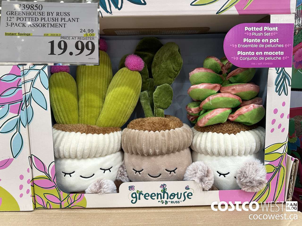 1839850 GREENHOUSE BY RUSS 12