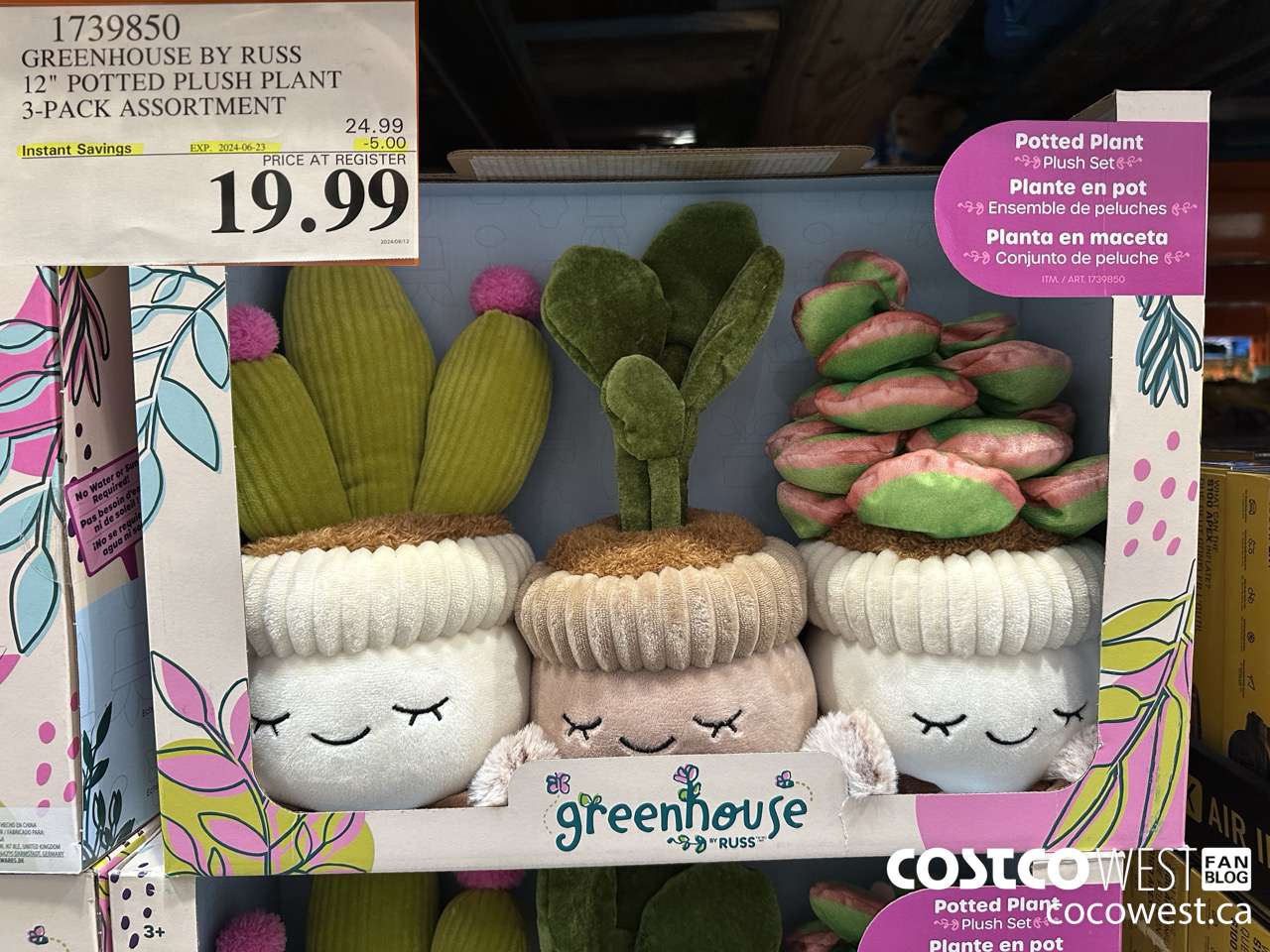 1739850 GREENHOUSE BY RUSS 12