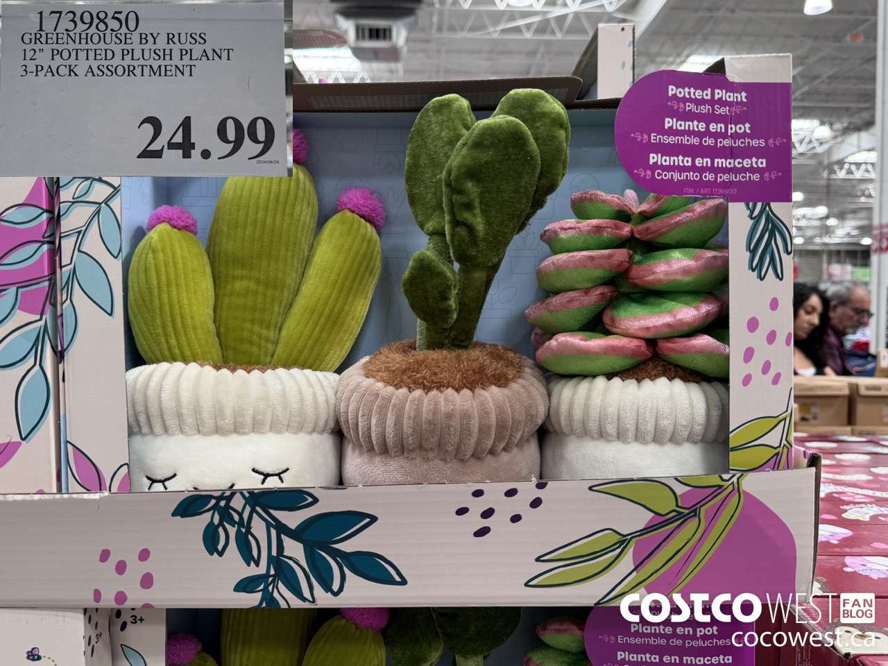 1739850 GREENHOUSE BY RUSS 12