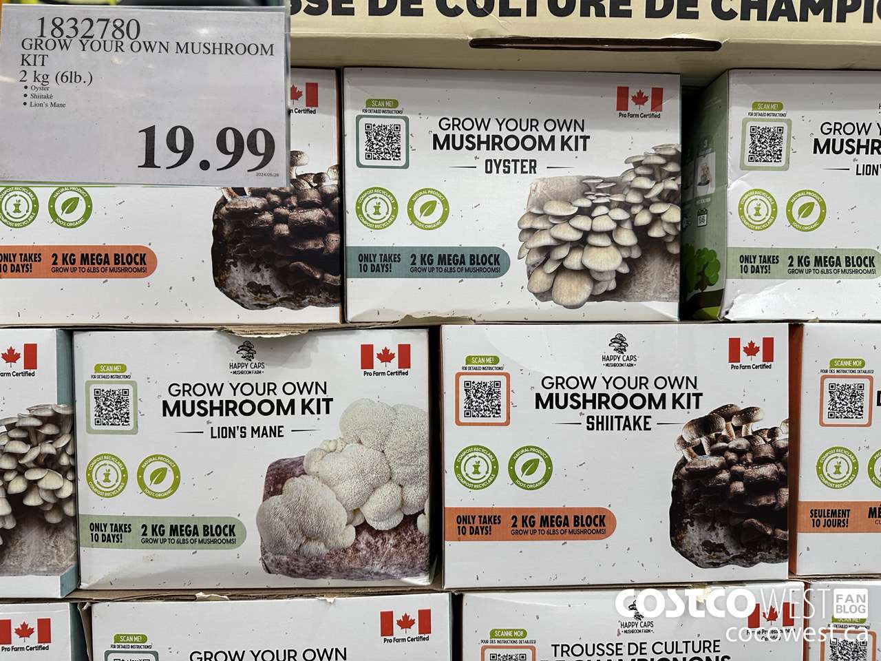 1832780 GROW YOUR OWN MUSHROOM KIT 2 KG (6LB) $19.99