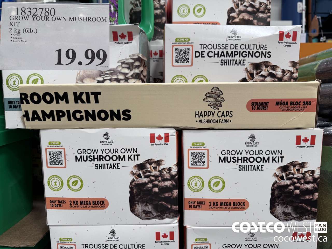 1832780 GROW YOUR OWN MUSHROOM KIT 2 KG (6LB) $19.99