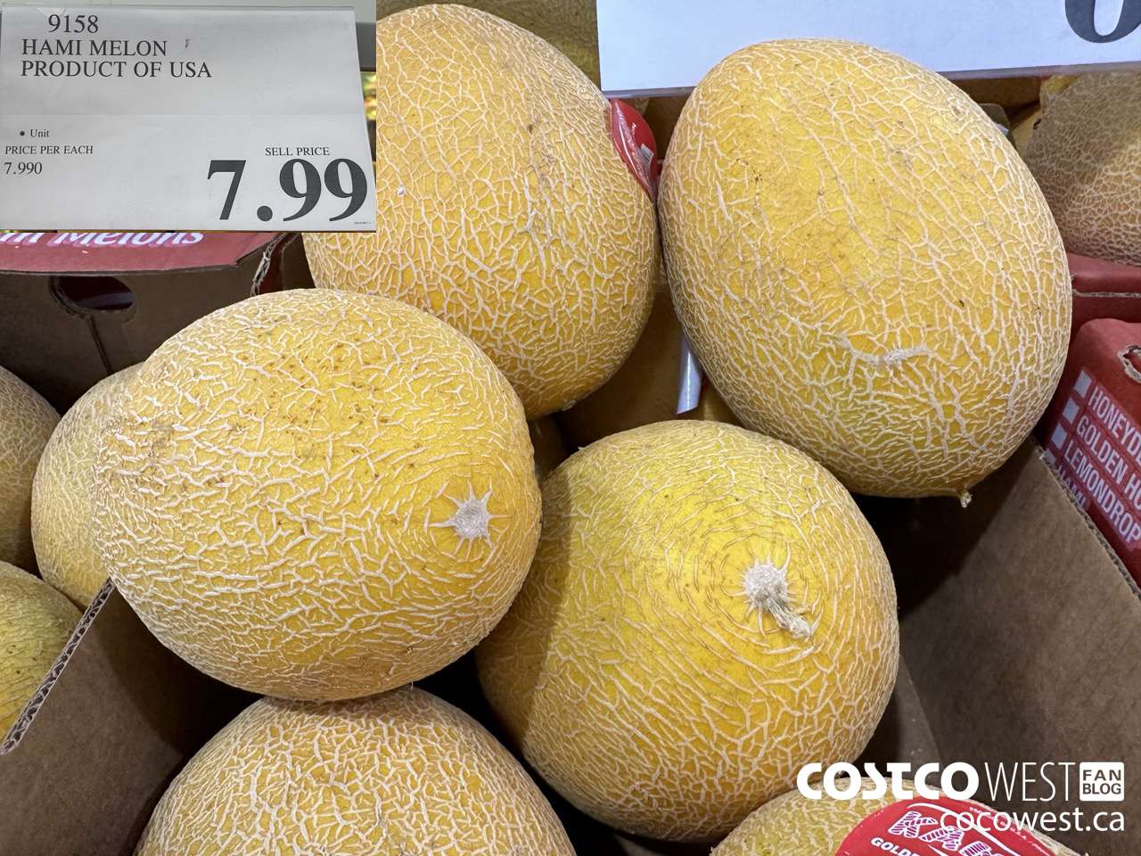 9158 HAMI MELON PRODUCT OF USA $7.99