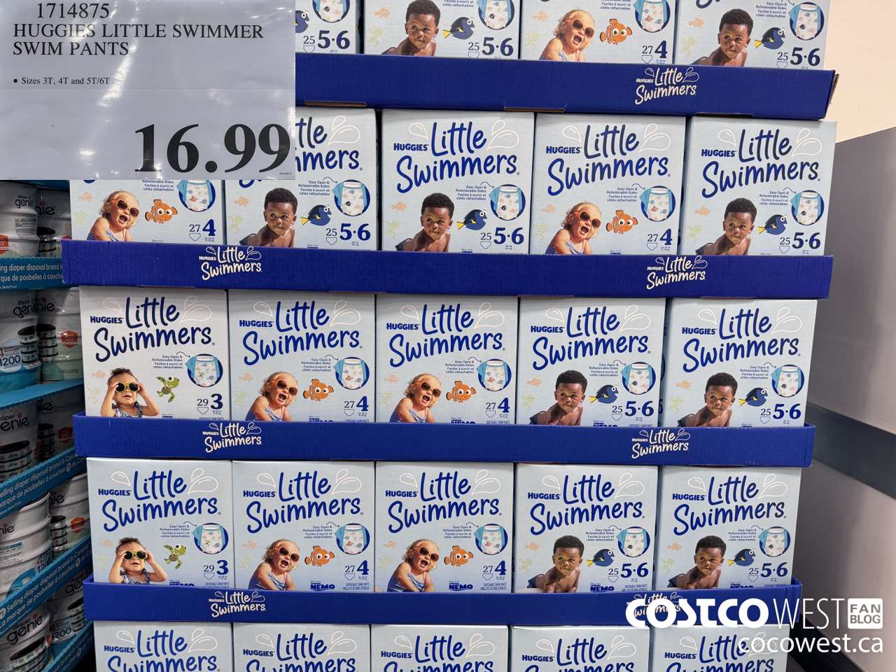 1714875 HUGGIES LITTLE SWIMMER SWIM PANTS $16.99