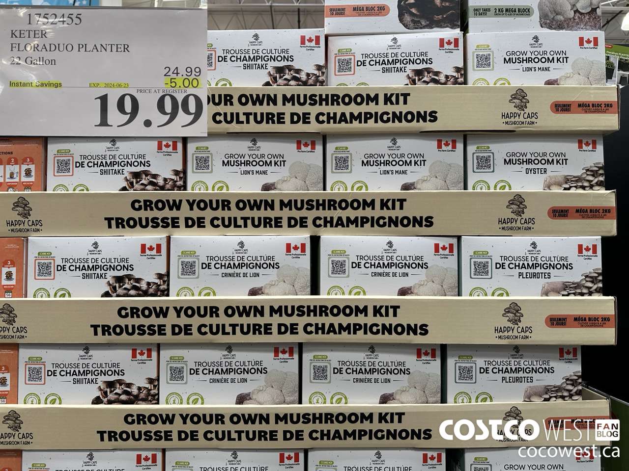 1752455 KETER FLORADUO PLANTER 22 GALLON ($5.00 INSTANT SAVINGS EXPIRES ON 2024-06-23) $19.99