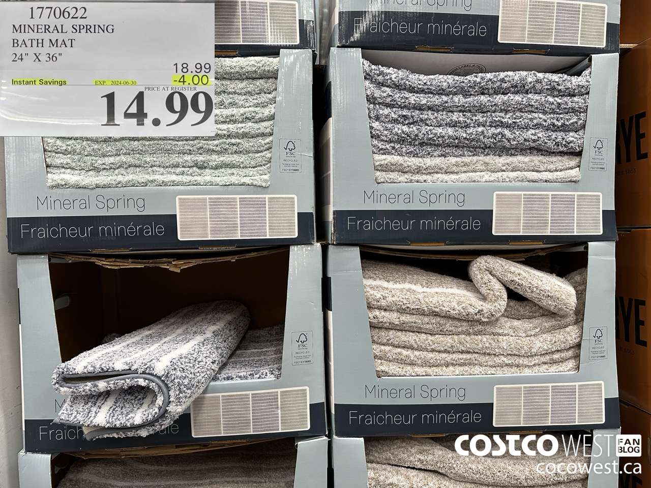 1770622 MINERAL SPRING BATH MAT 24