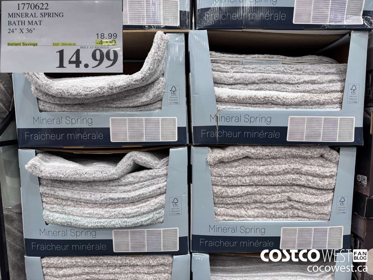 1770622 MINERAL SPRING BATH MAT 24