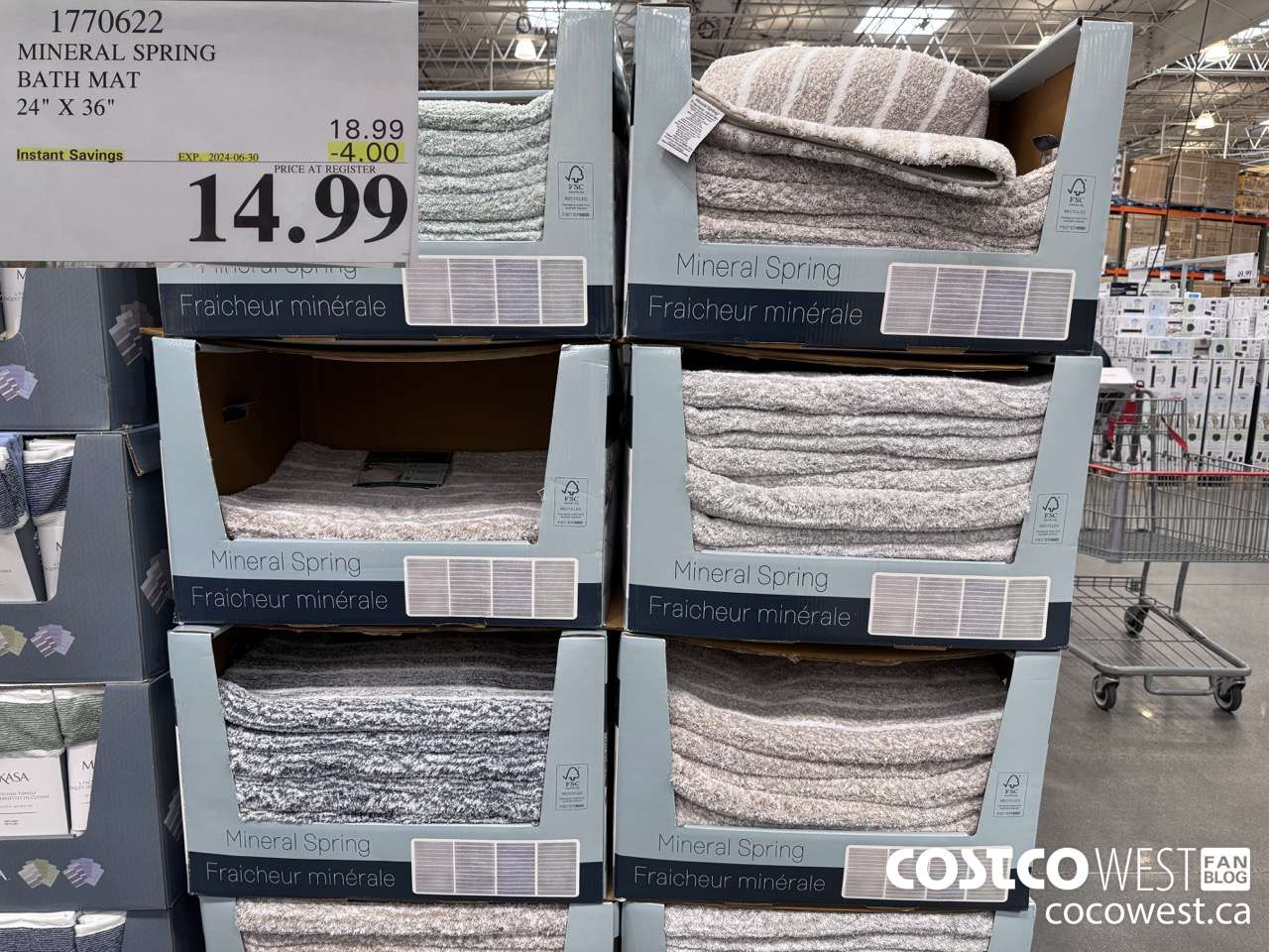 1770622 MINERAL SPRING BATH MAT 24