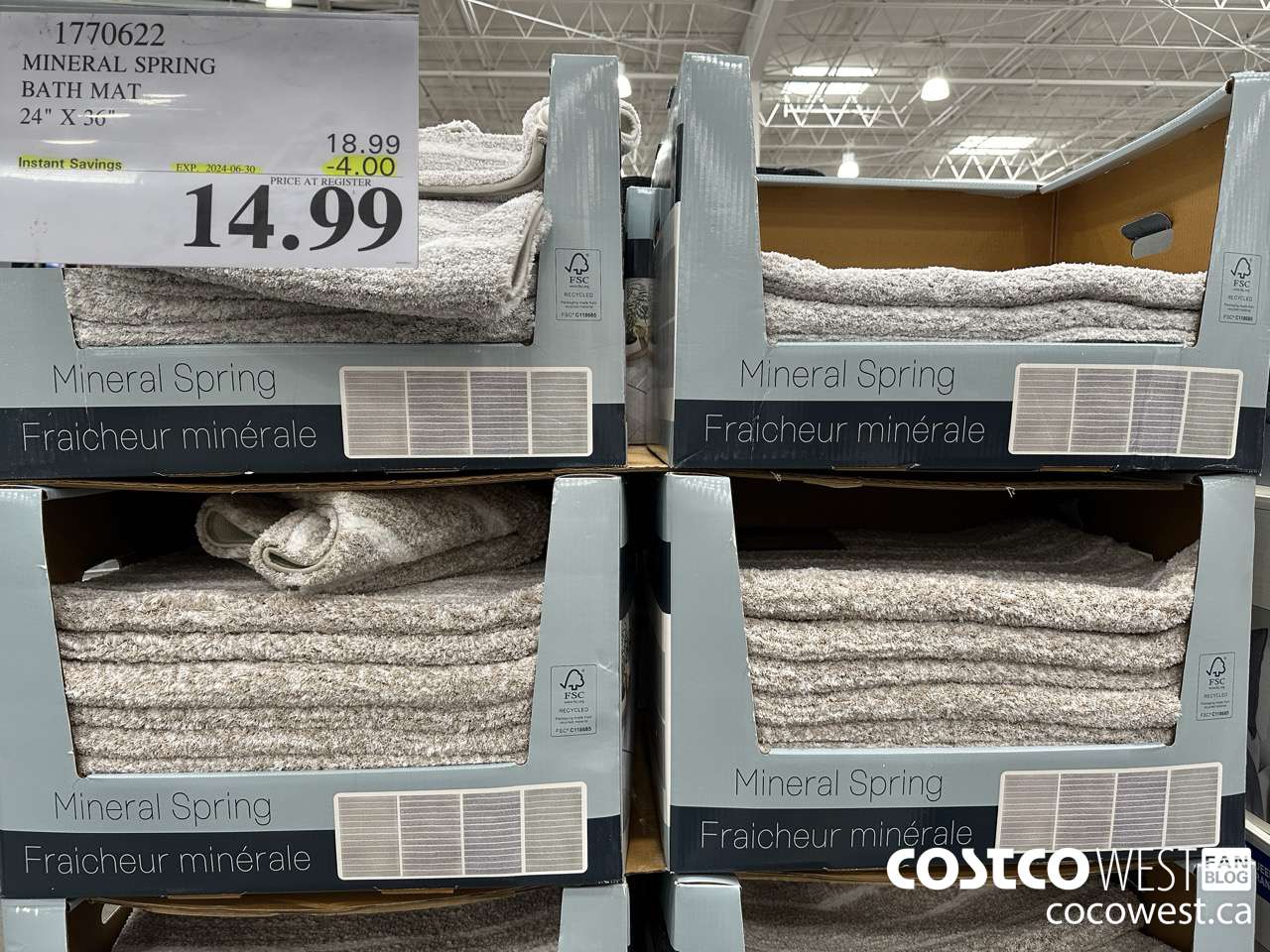 1770622 MINERAL SPRING BATH MAT 24