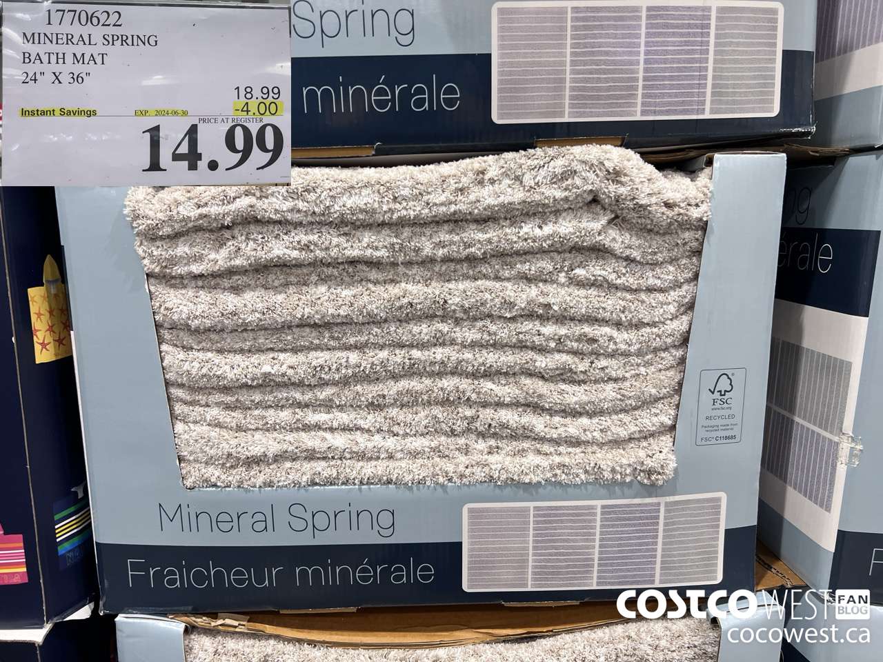 1770622 MINERAL SPRING BATH MAT 24