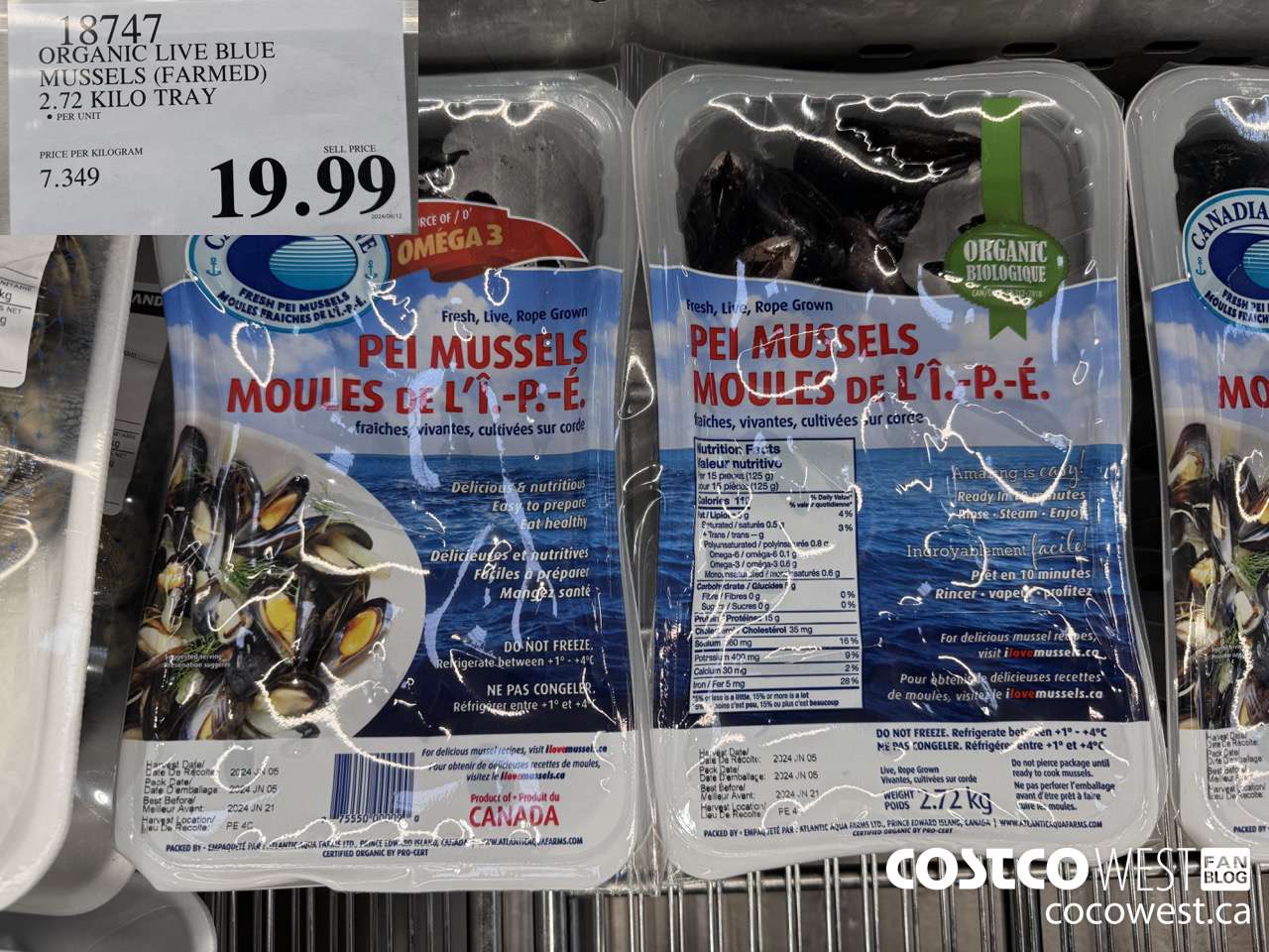 18747 ORGANIC LIVE BLUE MUSSELS (FARMED) 2.72 KILO TRAY $19.99