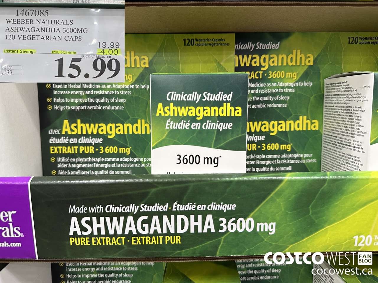 1467085 WEBBER NATURALS ASHWAGANDHA 3600MG 120 VEGETARIAN CAPSULES ($4.00 INSTANT SAVINGS EXPIRES ON 2024-06-30) $15.99
