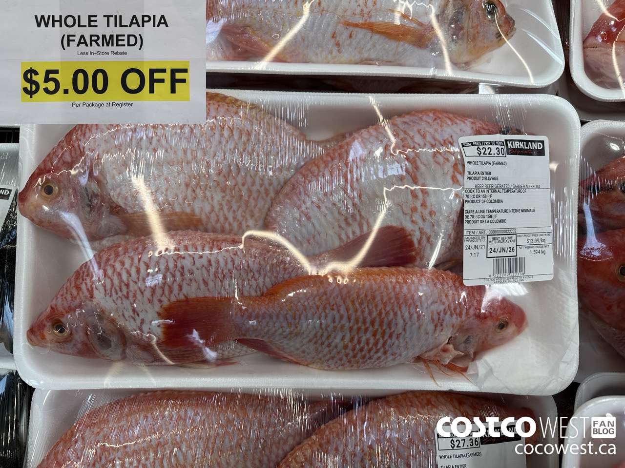 22202 WHOLE TILAPIA (FARMED) ($5.00 INSTANT SAVINGS)