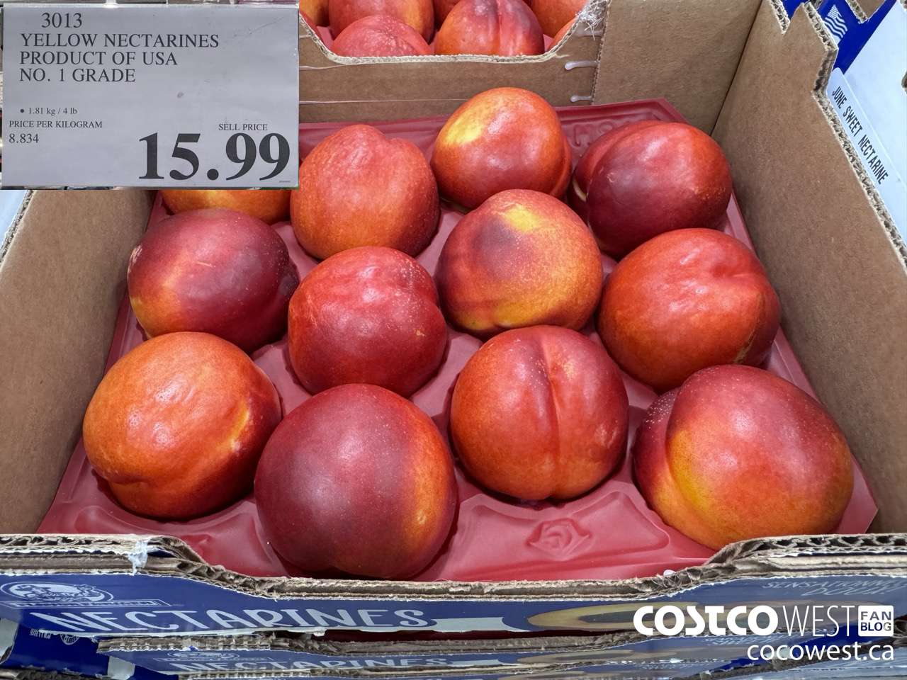 3013 YELLOW NECTARINES PRODUCT OF USA NO. 1 GRADE $15.99