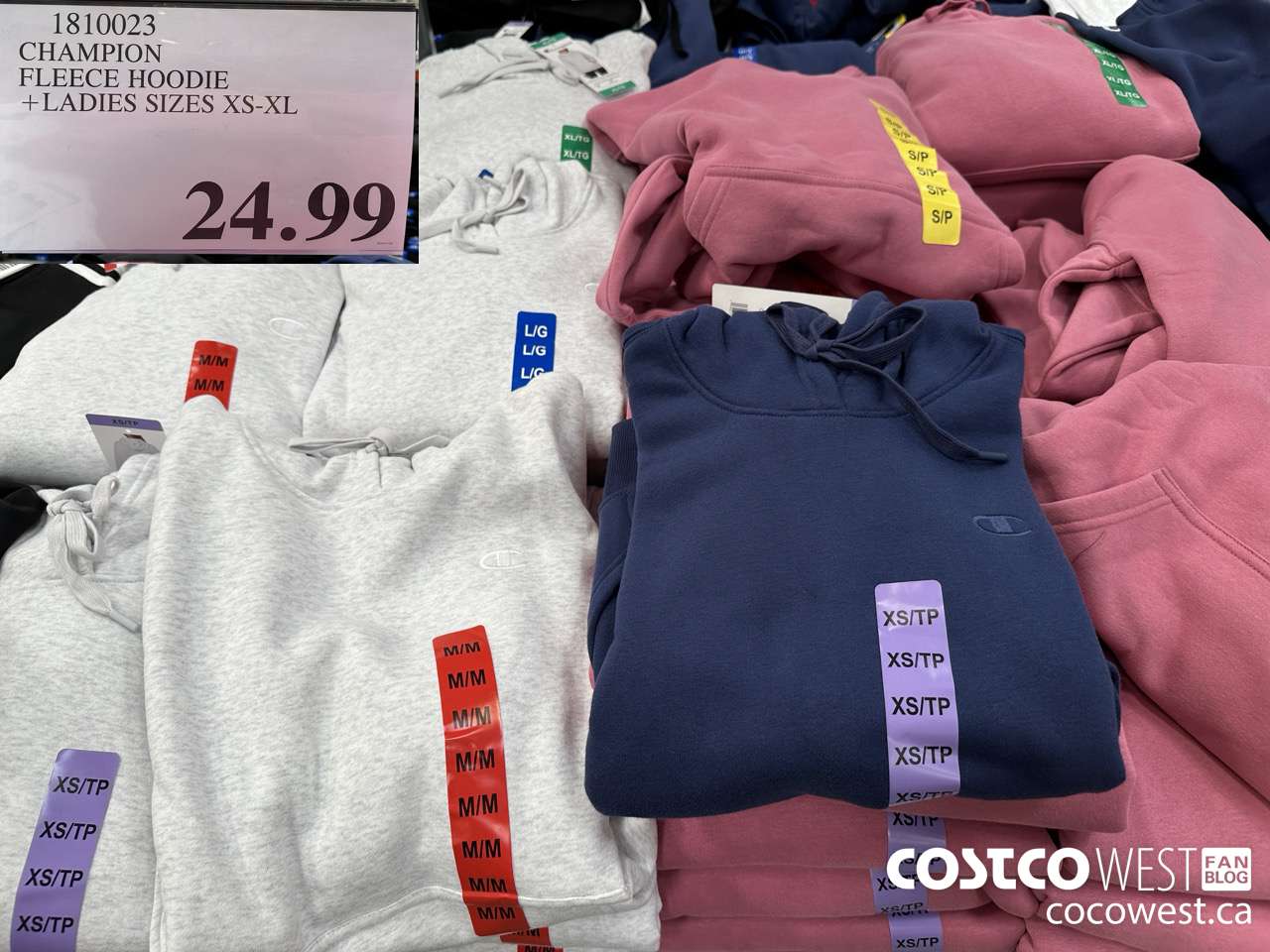 1810023 CHAMPION FLEECE HOODIE LADIES SIZES XS-XL $24.99