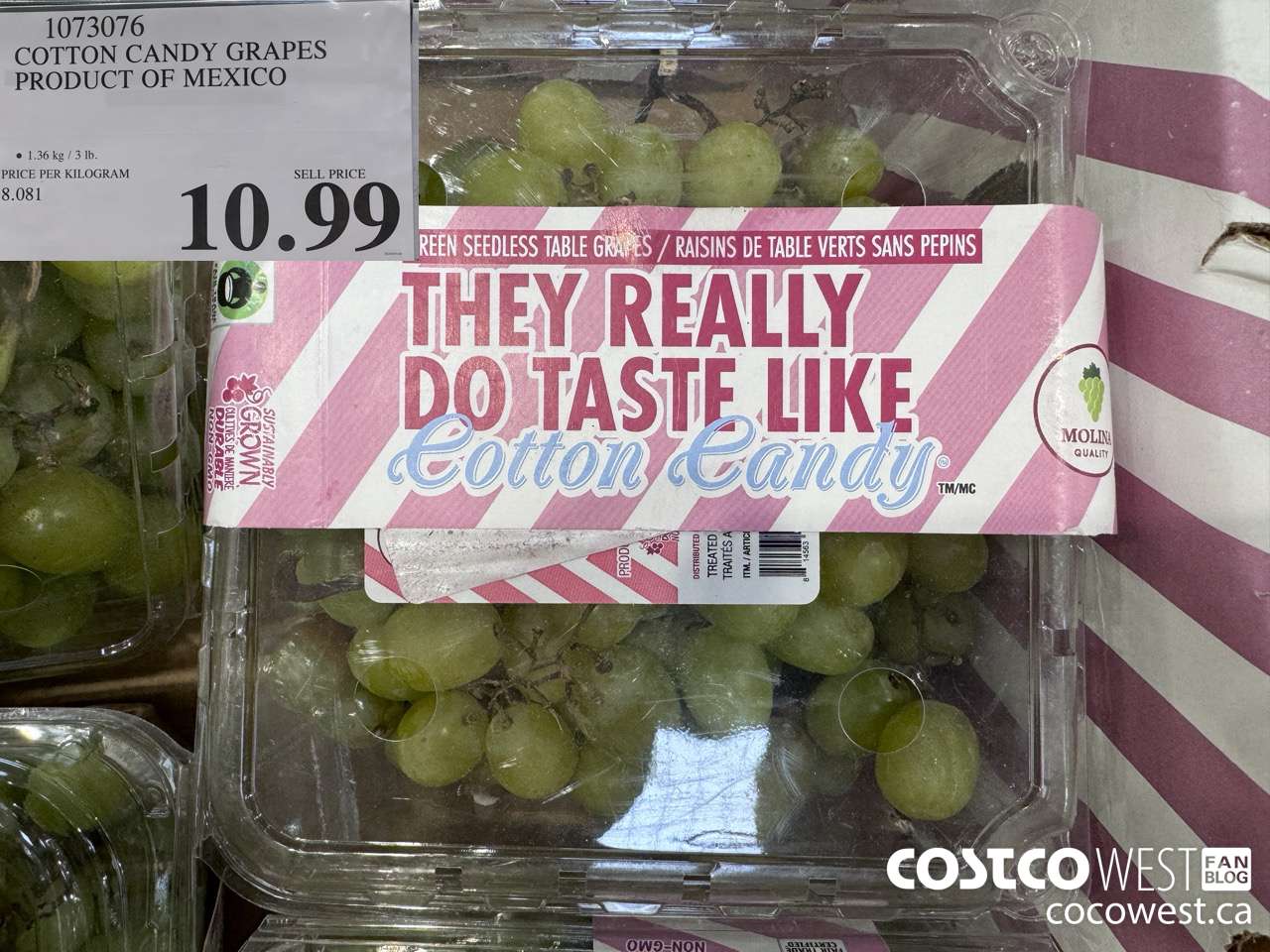 1073076 COTTON CANDY GRAPES PRODUCT OF MEXICO $10.99
