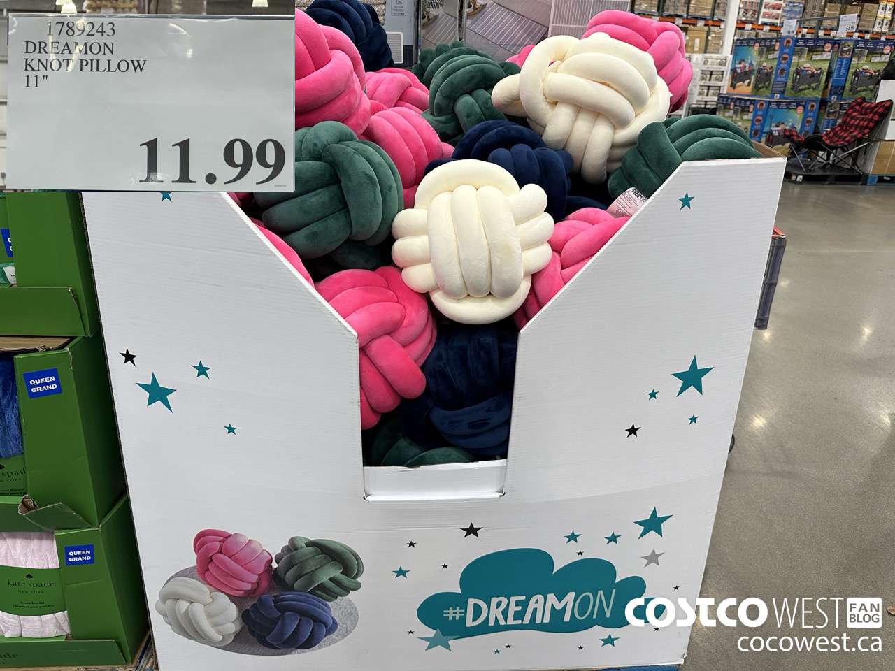 1789243 DREAMON KNOT PILLOW 11