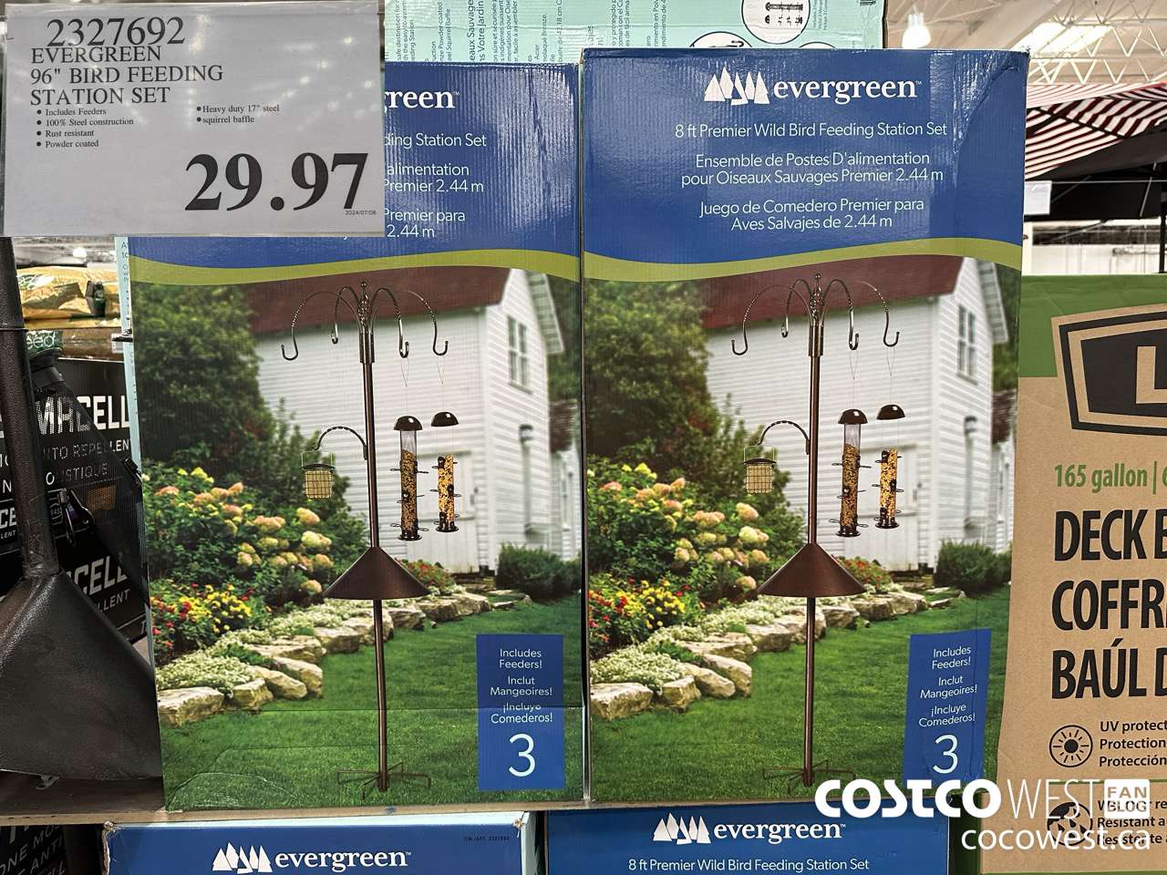 2327692 EVERGREEN 96