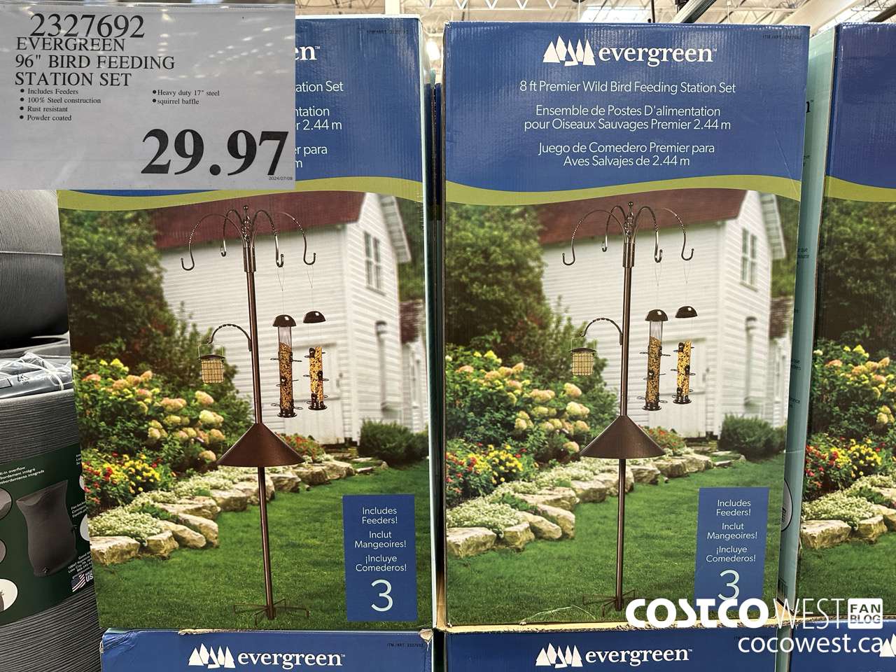 2327692 EVERGREEN 96