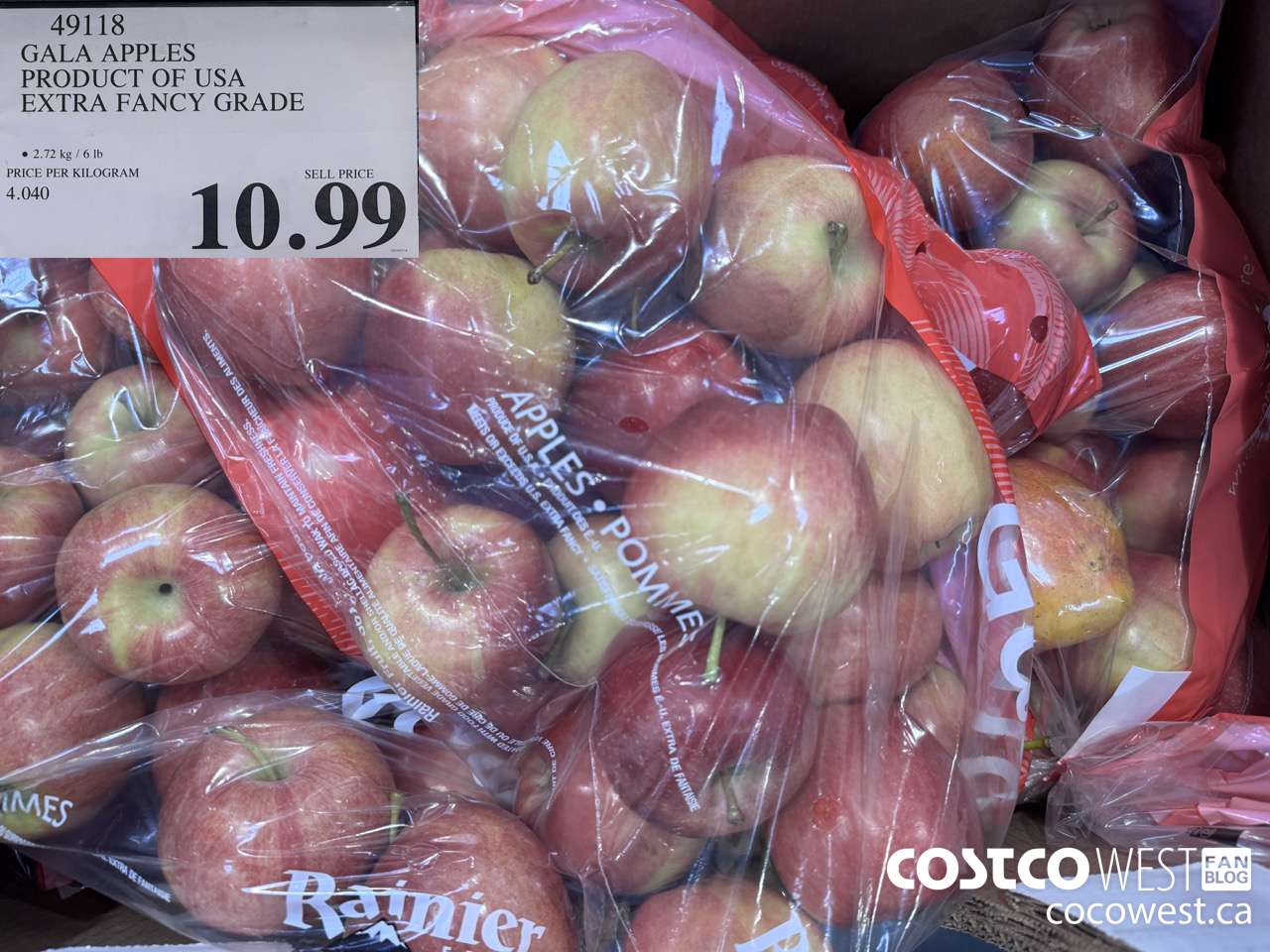 49118 GALA APPLES PRODUCT OF USA EXTRA FANCY GRADE $10.99