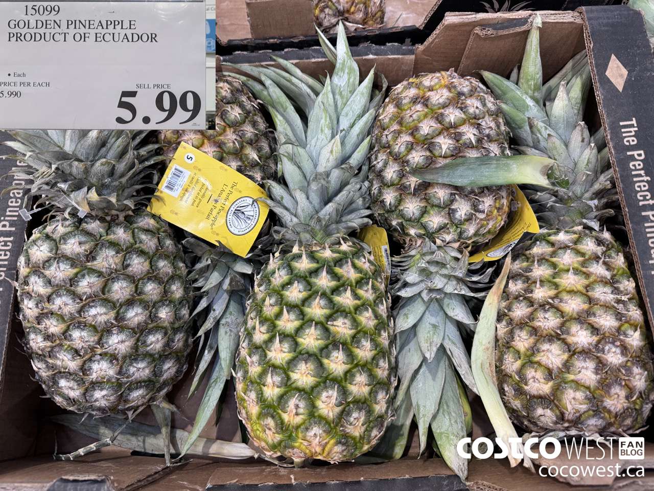 15099 GOLDEN PINEAPPLE PRODUCT OF ECUADOR $5.99